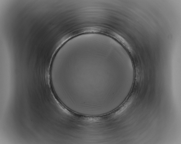 X0000111150802200907141340