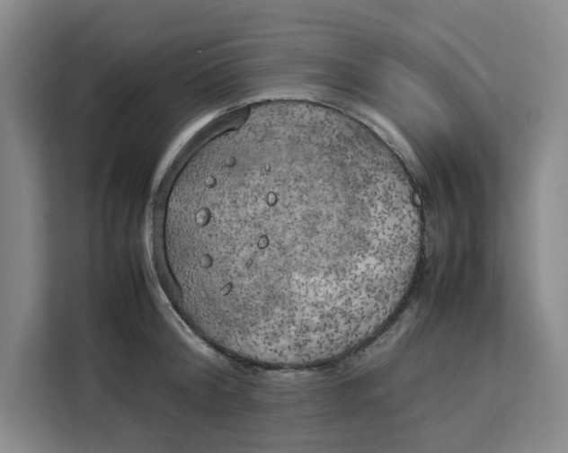 X0000111150804200907141340