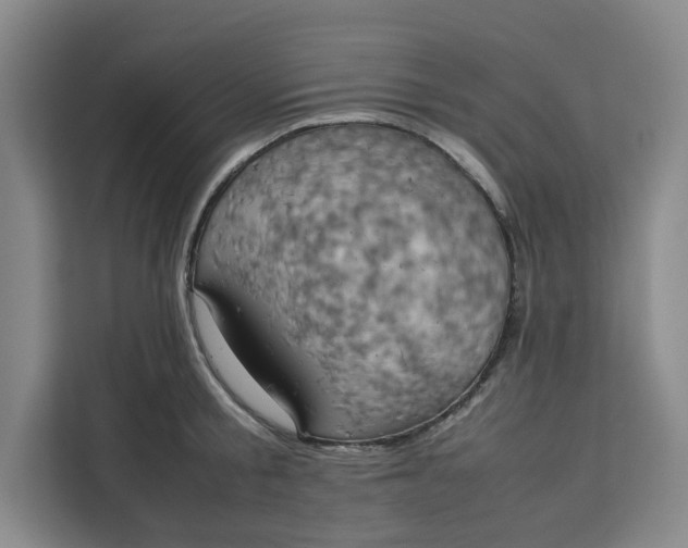 X0000111150805200907141340