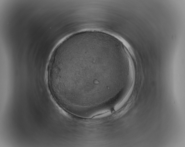 X0000111150807200907141340