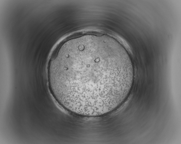 X0000111150808200907141340
