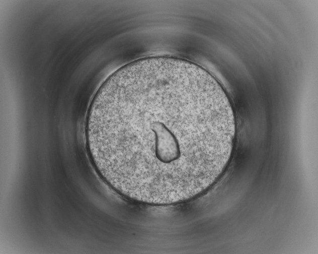 X0000111150810200907141340