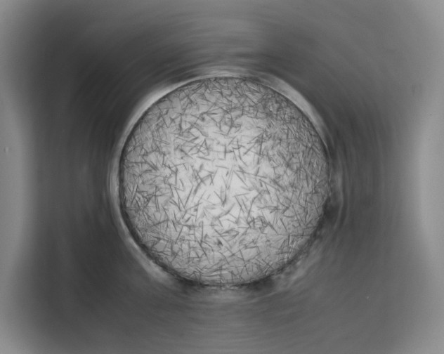 X0000111150811200907141340