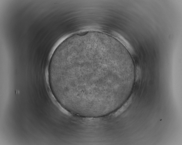 X0000111150812200907141340