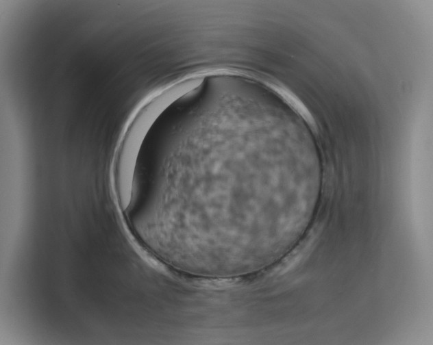 X0000111150813200907141340