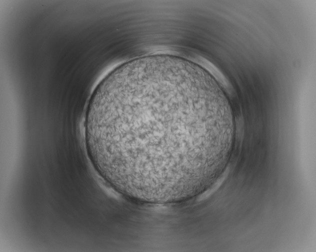 X0000111150814200907141340