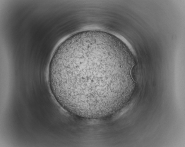 X0000111150815200907141340