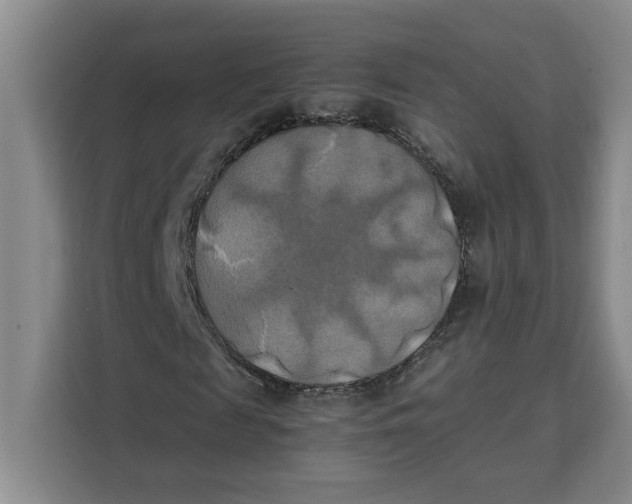 X0000111150817200907141339