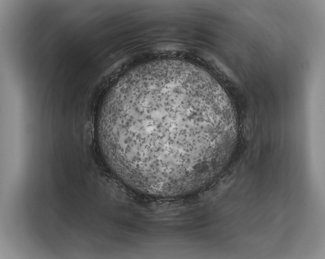 X0000111150821200907141339