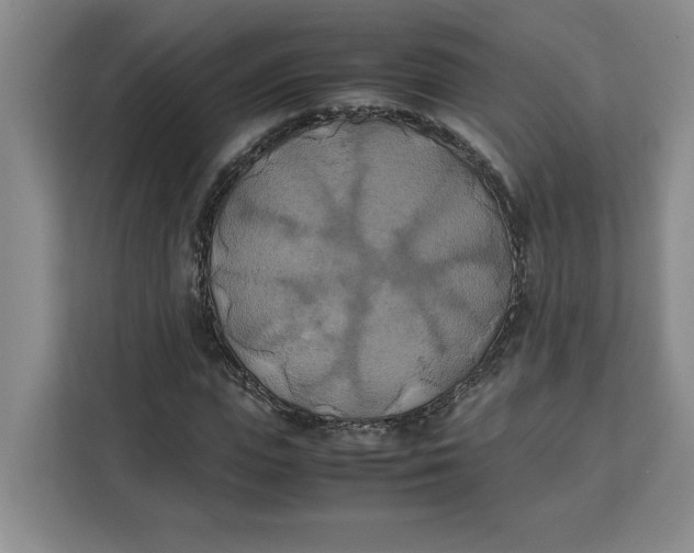 X0000111150823200907141339