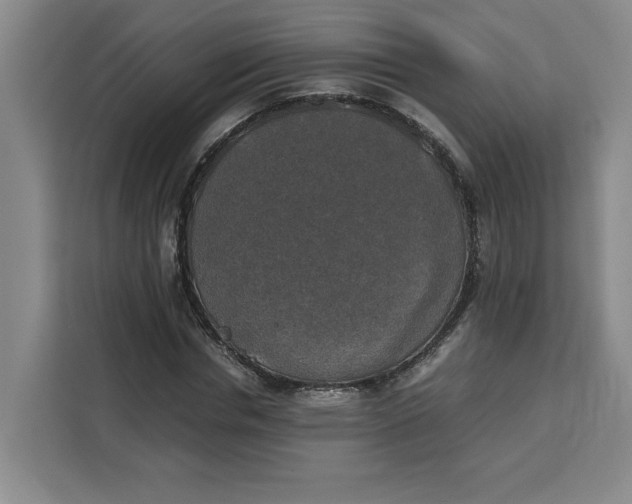 X0000111150826200907141339