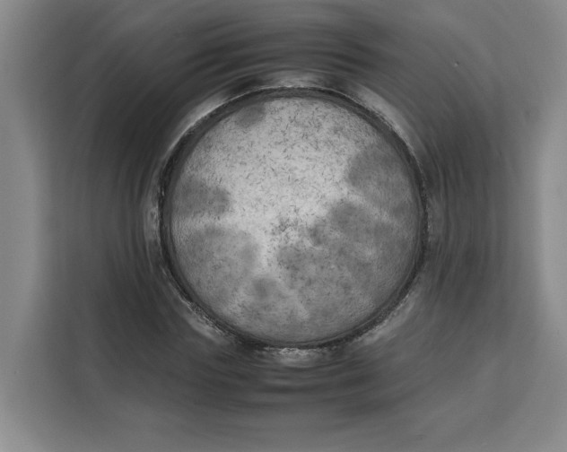 X0000111150827200907141339