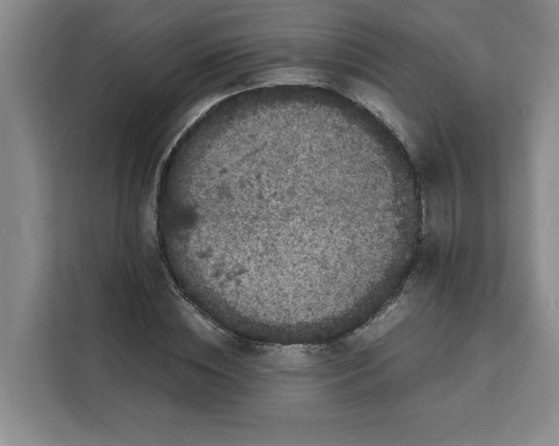 X0000111150828200907141339