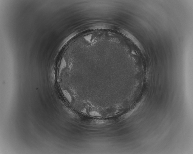 X0000111150829200907141339