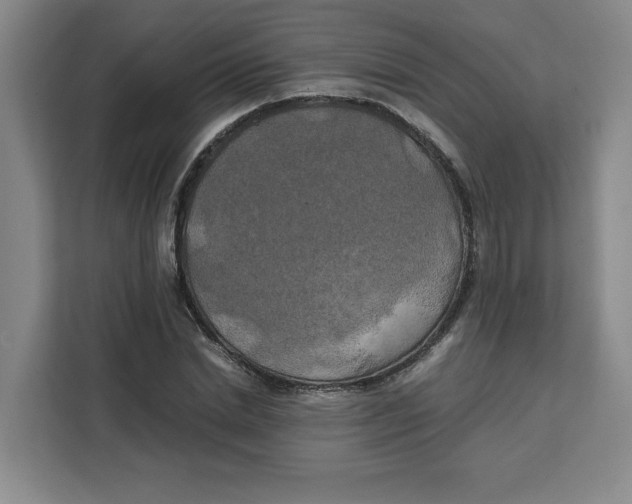 X0000111150830200907141340