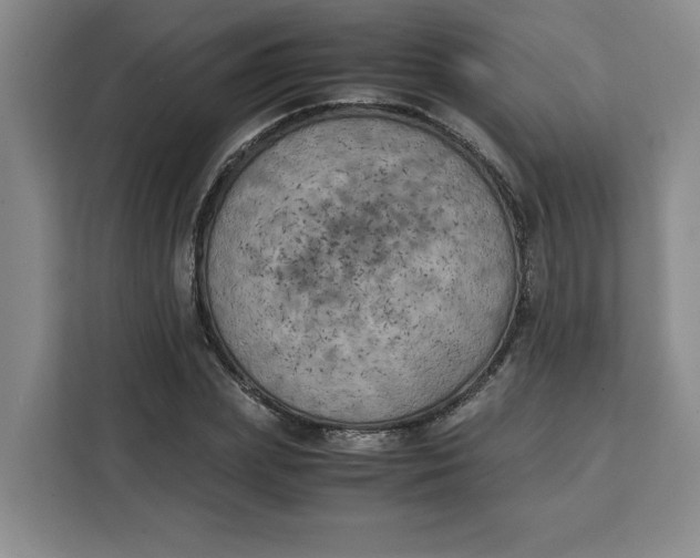 X0000111150831200907141340