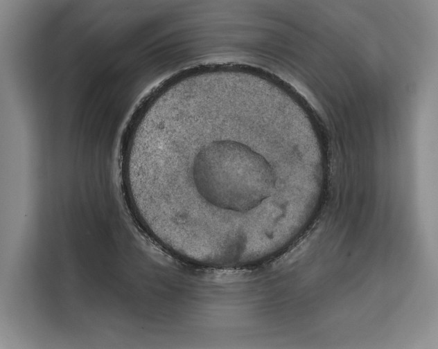 X0000111150832200907141340