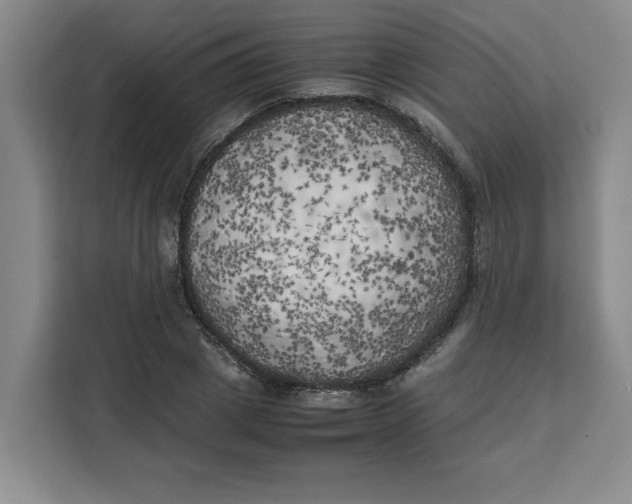 X0000111150833200907141340