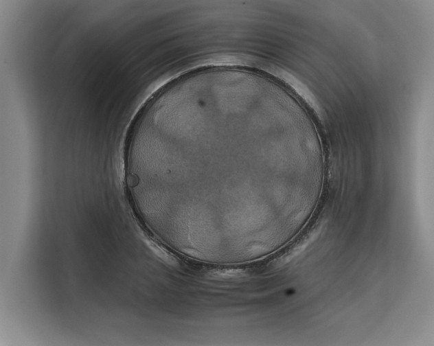 X0000111150837200907141340