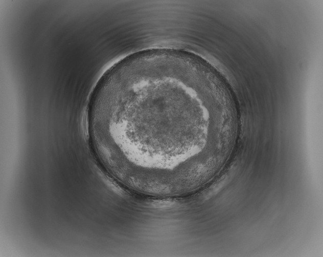 X0000111150838200907141340