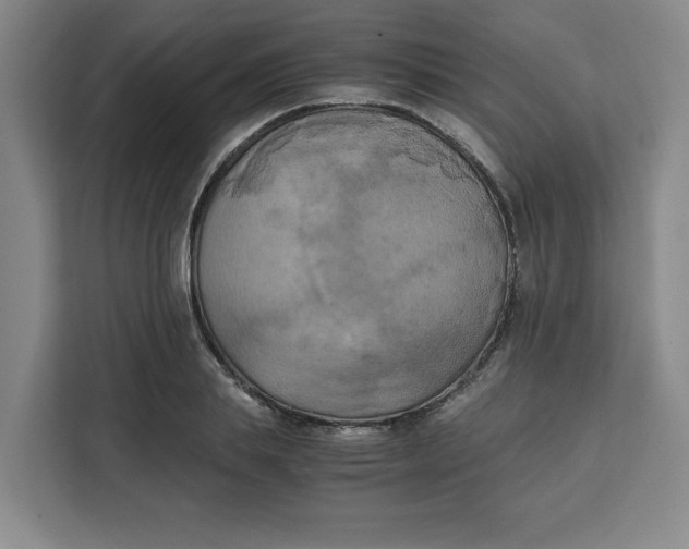 X0000111150839200907141340
