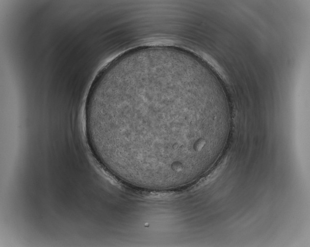 X0000111150840200907141340