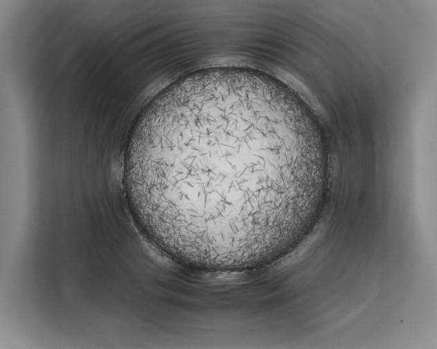 X0000111150841200907141340