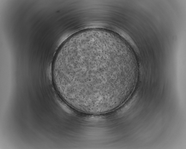 X0000111150842200907141340