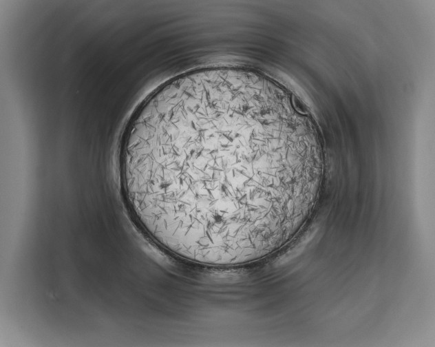 X0000111150843200907141340