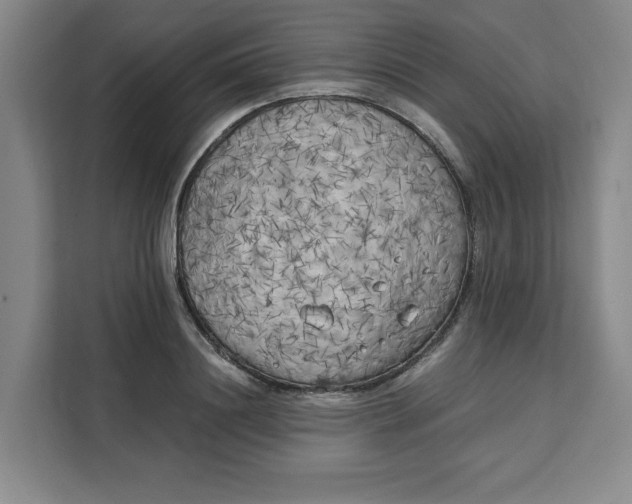 X0000111150844200907141340