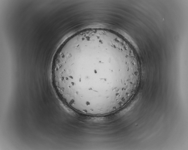 X0000111150845200907141340