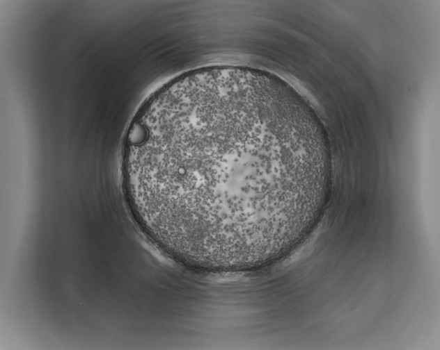 X0000111150846200907141340