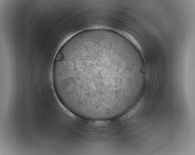 X0000111150847200907141340