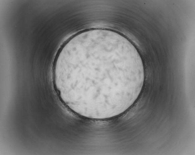 X0000111150848200907141340
