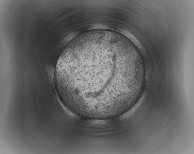 X0000111150849200907141340