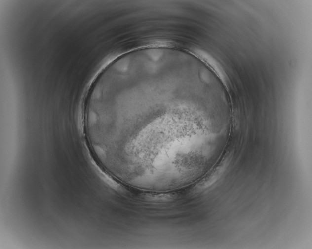 X0000111150851200907141340