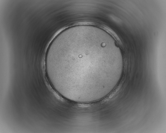 X0000111150852200907141340