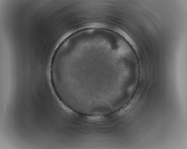 X0000111150853200907141340
