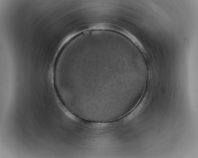 X0000111150854200907141340
