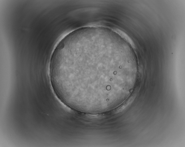 X0000111150855200907141340