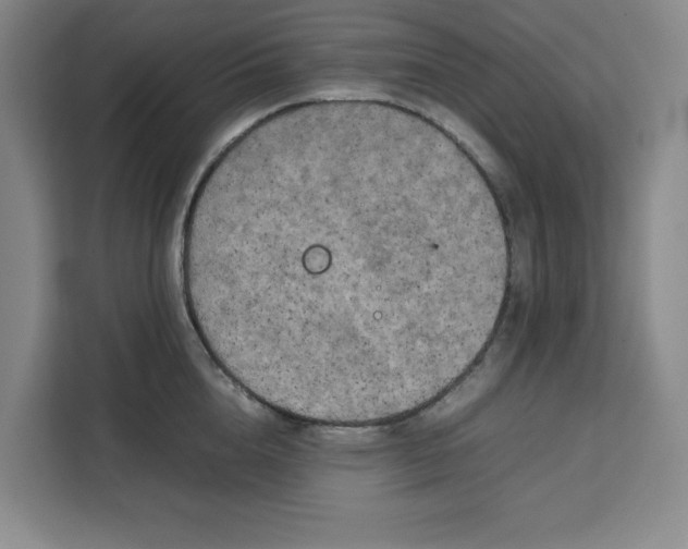 X0000111150856200907141340