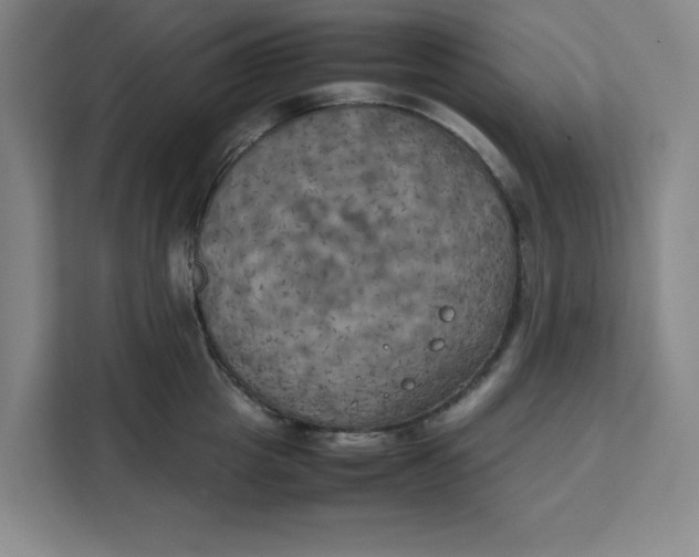 X0000111150857200907141340