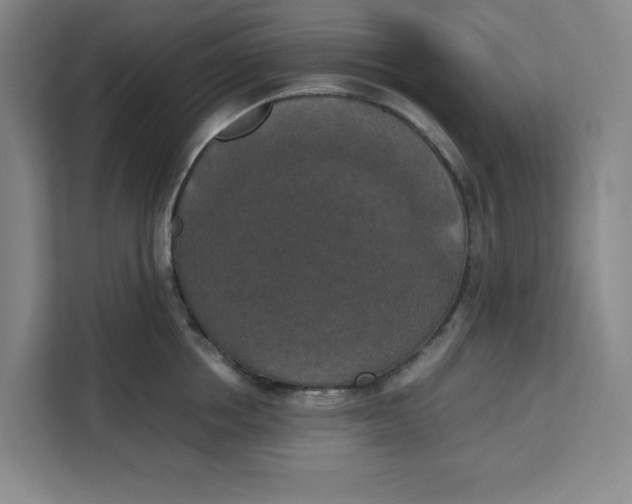 X0000111150858200907141340