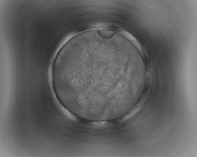 X0000111150859200907141340