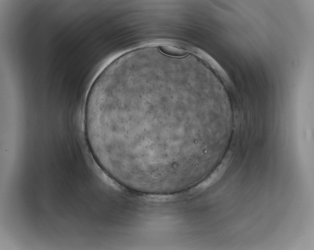X0000111150860200907141340