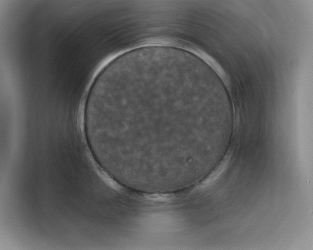 X0000111150862200907141340