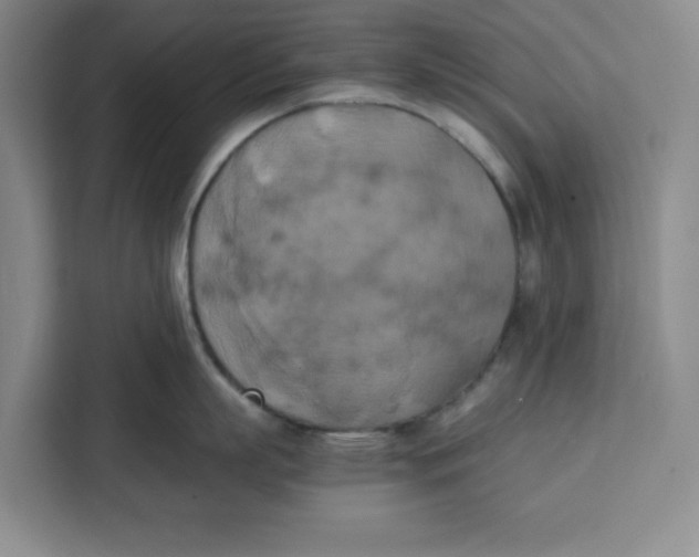 X0000111150863200907141340