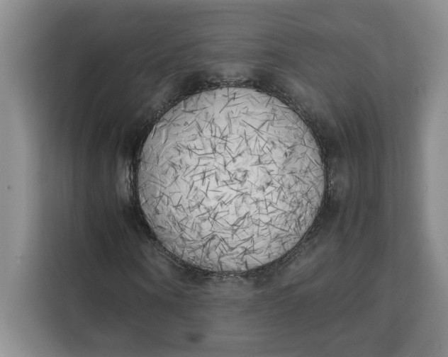 X0000111150866200907141339