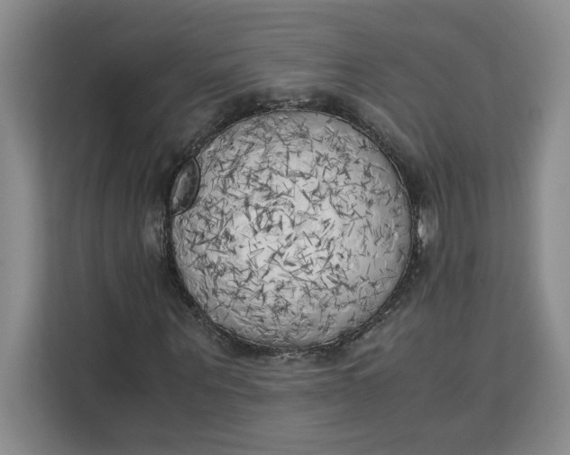 X0000111150867200907141339