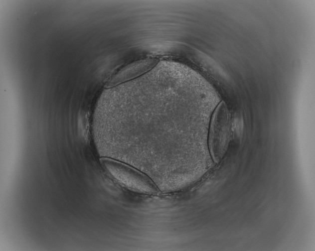 X0000111150868200907141339
